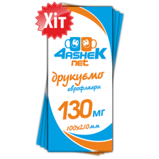 Флаєр 100х210мм 130мг