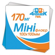 Міні-флаєр 100х100мм. 170мг